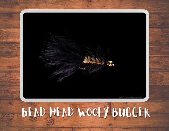The Conehead Bunny Leech Materials List / Episode #17 / Season 5 / Apr –  Rocky Mountain Fly Shop